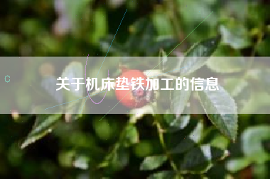 關于機床墊鐵加工的信息