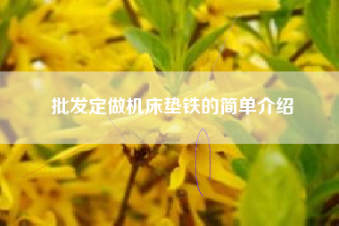 批發(fā)定做機(jī)床墊鐵的簡(jiǎn)單介紹