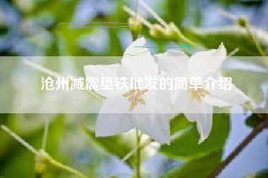 滄州減震墊鐵批發(fā)的簡(jiǎn)單介紹